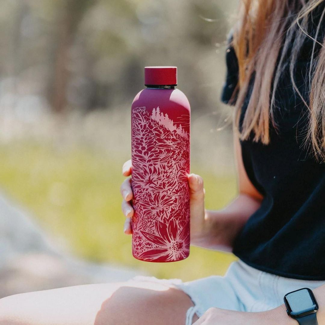 Montana Scene Water Bottle Meadow Rockford Art Deli