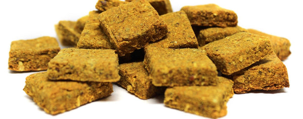 BORN TO RUN DOGS - RISE & SHINE Anti-inflammatory & Joint Support Treats 192g