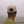 Bird Collective - Sandhill Crane Hat