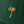 Three Potato Four - 3P4 x Richard Scarry® - Lowly Worm Dad Hat (Forest)