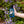 Bird Collective - I'd Rather Be Birding Nalgene