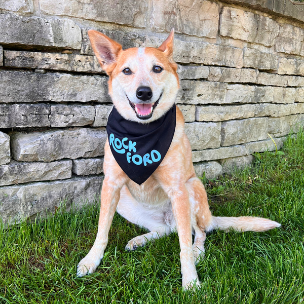 Dog Bandana