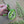 ilikesara | art + goods - Coin pouch | moth - green zipper bag with waterproof lining