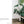 Penguin Random House LLC - Plantopedia
