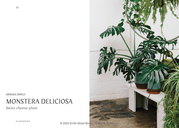 Penguin Random House LLC - Plantopedia