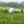 Caddy Classics - Royal Reds Golf Tees | 50 Bamboo 2¾ Inch
