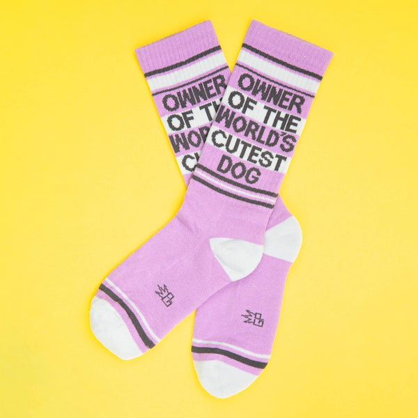 Gumball Poodle - Owner Of The World's Cutest Dog Gym Crew Socks