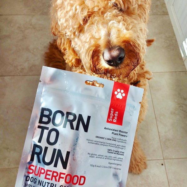BORN TO RUN DOGS - SUPER REDS Antioxidant Booster Treats (192g - 7oz)
