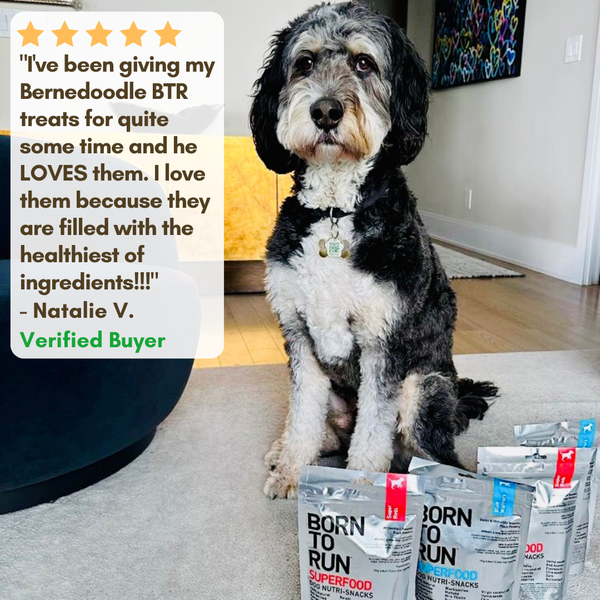 BORN TO RUN DOGS - BLUE WARRIORS Detox & Immunity Booster Treats (192g - 7oz)