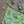 ilikesara | art + goods - Zippered pouch | insecta - light green pencil, supply, makeup bag with waterproof lining