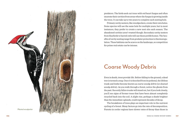 Mountaineers Books - Knowing the Trees