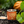 Good & Well Supply Co. - Pumpkin Patch Soy Candle - Fall Collection