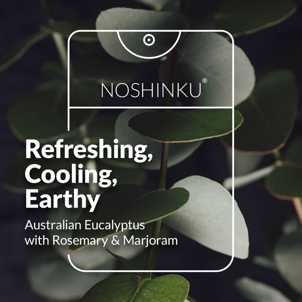 Noshinku - REFILLABLE Eucalyptus Moisturizing Pocket Hand Sanitizer