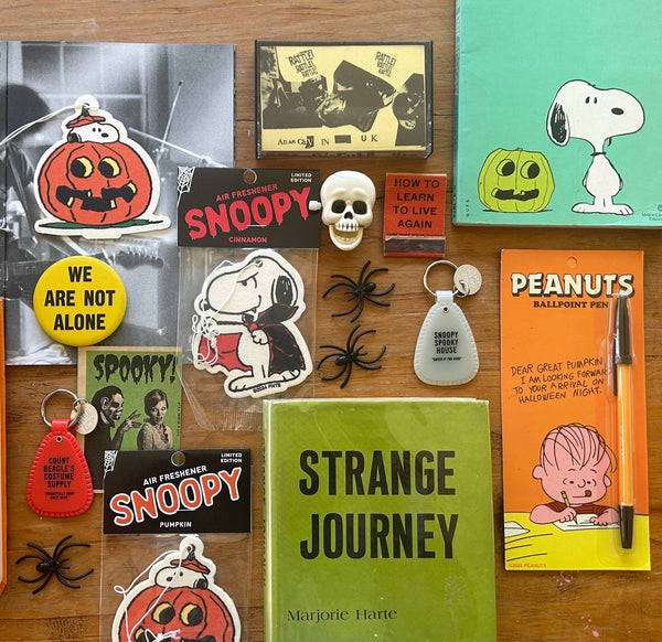 Three Potato Four - 3P4 x Peanuts® Halloween - Great Pumpkin Pen