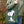 Three Potato Four - 3P4 x Peanuts® - Snoopy Knit Tote