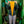 Oxford Pennant - We'll Never Give Up, It's No Use Pennant • blink-182 x Oxford Pennant
