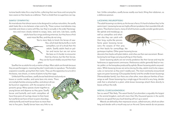 Mountaineers Books - The Naturalist at Home