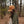 Bird Collective - Barn Owl Corduroy Hat
