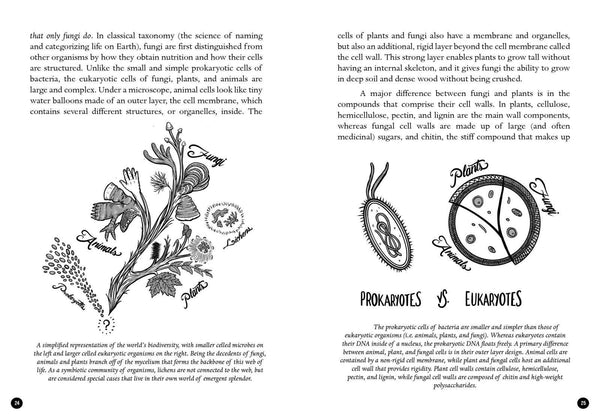 Microcosm Publishing & Distribution - Mycocultural Revolution: Transforming Our World with Fungi