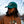 Bird Collective - Wood Duck Corduroy Hat