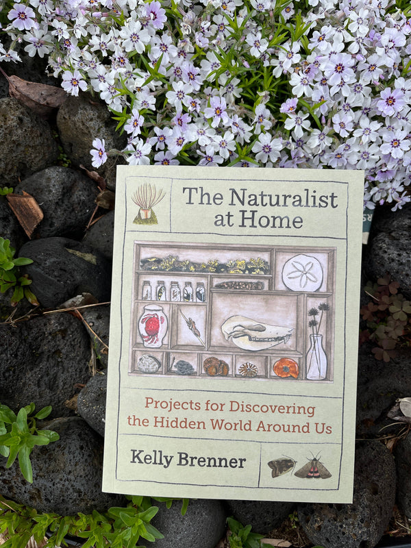 Mountaineers Books - The Naturalist at Home