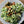 Penguin Random House LLC - Soups, Salads, Sandwiches