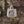 Bird Collective - Woodpeckers of North America Tote Bag