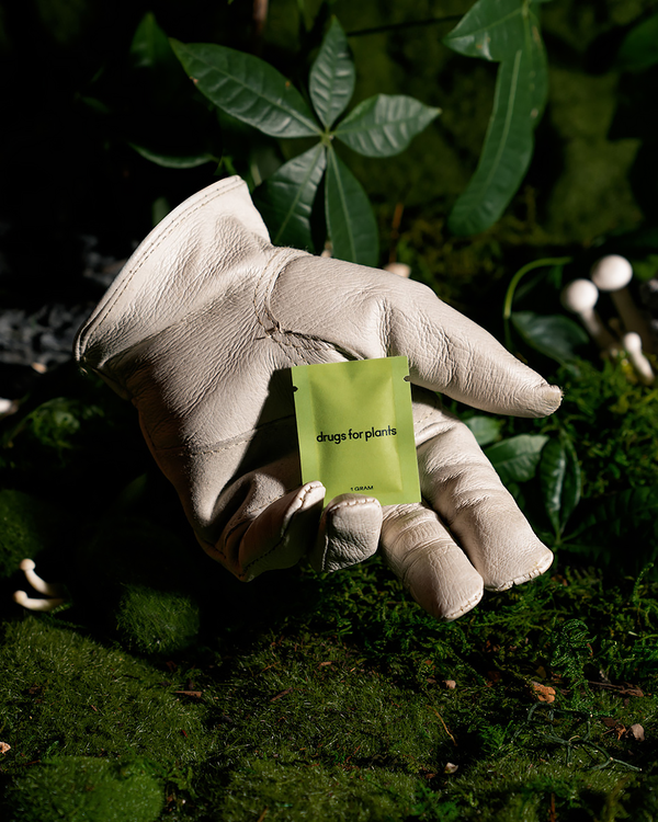 Drugs for Plants - 1G Bag (Grow)