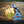 Trek Light - Kitchen Tea Towel Quick Dry | Ducks in a Row