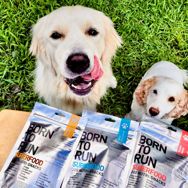 BORN TO RUN DOGS - RISE & SHINE Anti-inflammatory & Joint Support Treats 192g