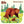 Penguin Random House LLC - Animals of the National Parks