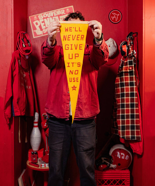 Oxford Pennant - We'll Never Give Up, It's No Use Pennant • blink-182 x Oxford Pennant