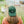 Three Potato Four - 3P4 x Peanuts® - Snoopy Embroidered Dad Hat (Forest)