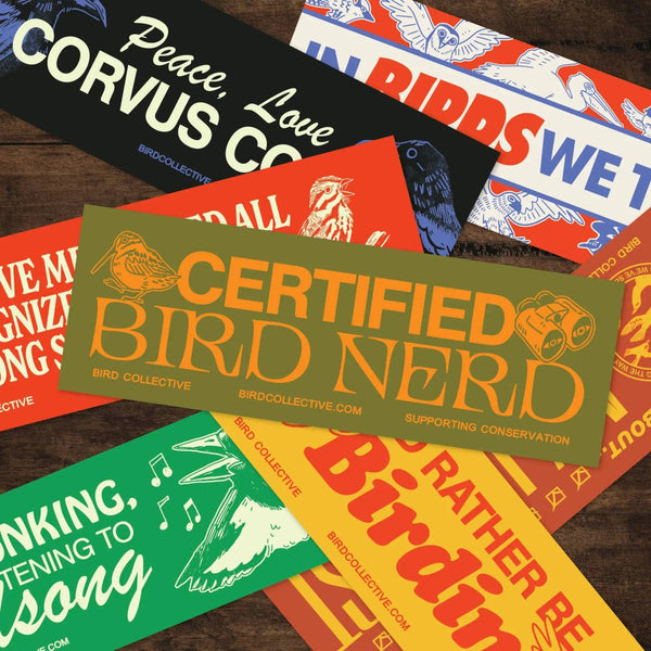 Bird Collective - Bird Nerd Bumper Sticker