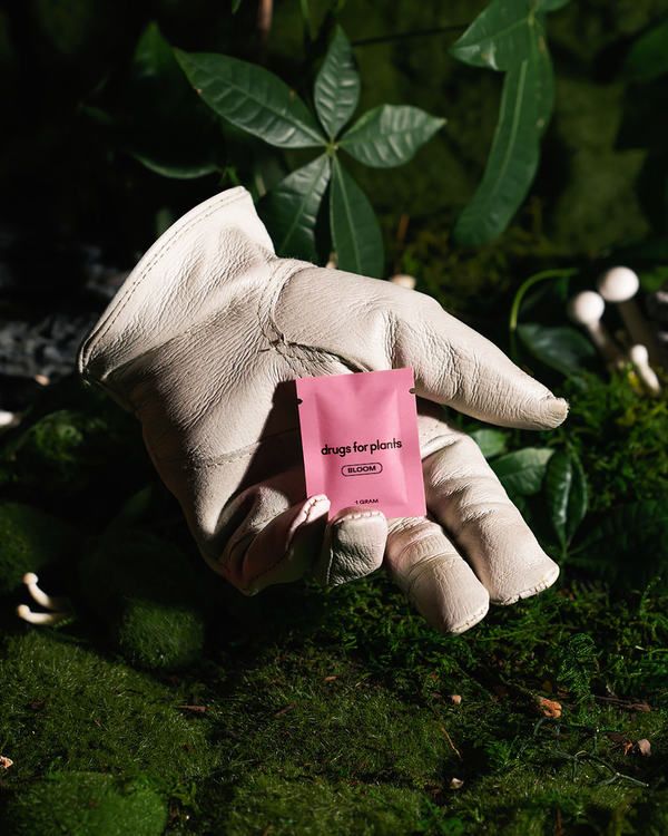 Drugs for Plants - 1G Bag (Bloom)