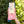 Conscious Step - Socks That Find a Cure (Pink Confetti)