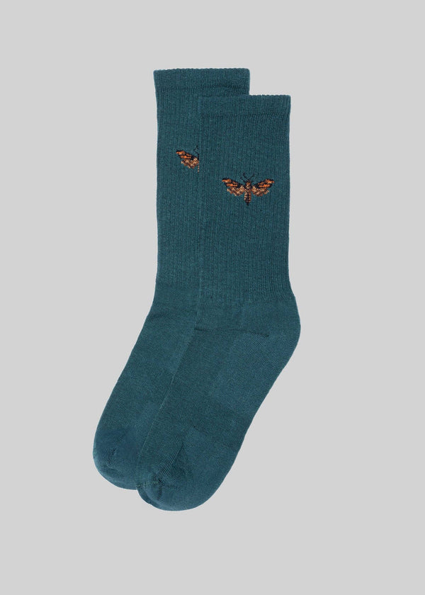 American Trench - The Zoo Crew