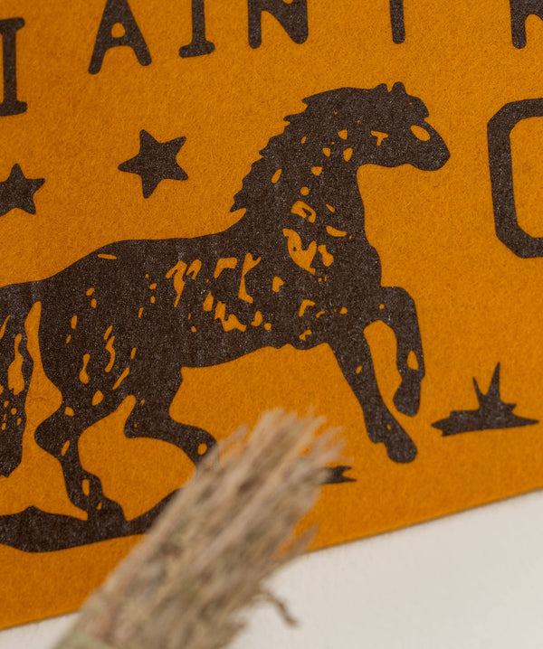 Oxford Pennant - I Ain't No Cowboy But I Can Ride Pennant • Jason Isbell x Oxford Pennant