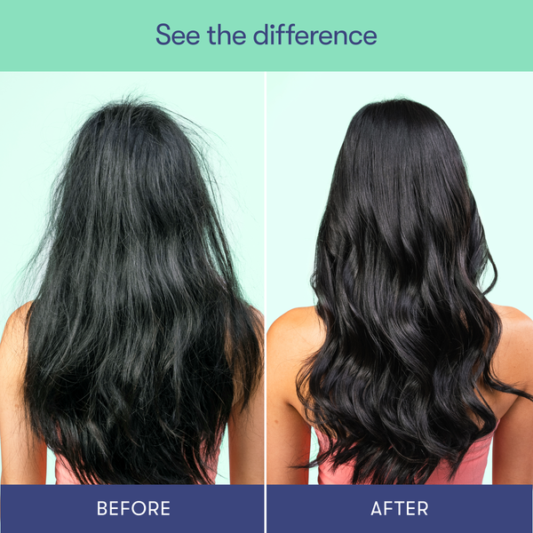 HiBAR - Maintain Shampoo Bar