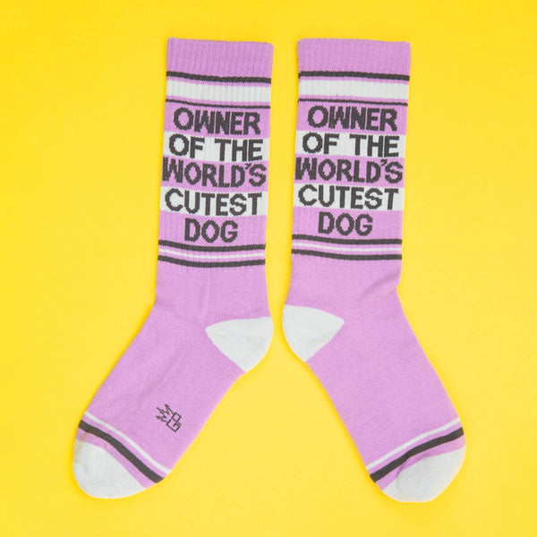 Gumball Poodle - Owner Of The World's Cutest Dog Gym Crew Socks