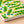 Pea Pod Pocket-size Spiral Notebook