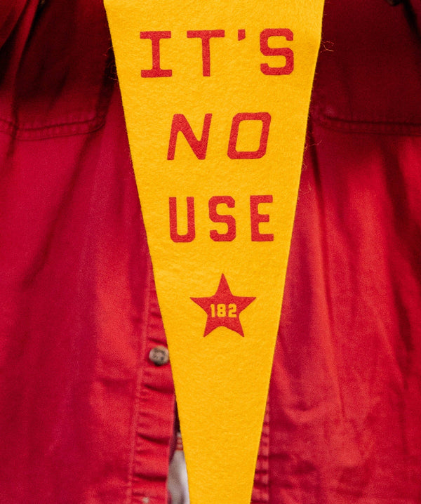 Oxford Pennant - We'll Never Give Up, It's No Use Pennant • blink-182 x Oxford Pennant