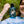Bird Collective - I'd Rather Be Birding Nalgene