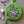 ilikesara | art + goods - Coin pouch | cat - green zipper bag with waterproof lining