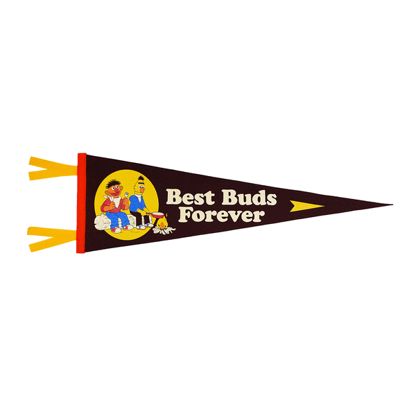 Oxford Pennant - Best Buds Forever Pennant • Sesame Street x Oxford Pennant