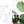 Penguin Random House LLC - Plantopedia