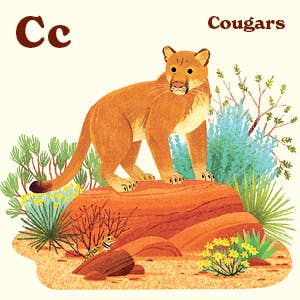 Penguin Random House LLC - Animals of the National Parks