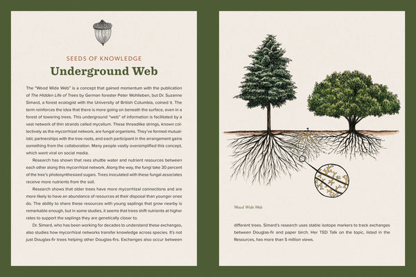 Mountaineers Books - Knowing the Trees