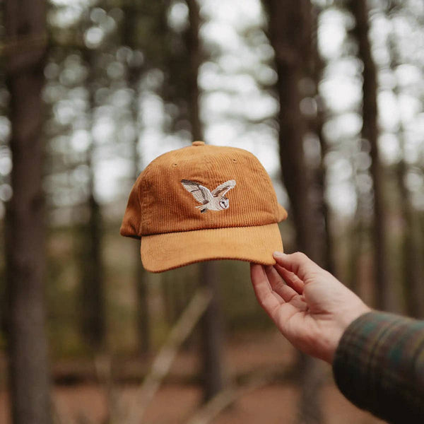 Bird Collective - Barn Owl Corduroy Hat