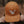 Bird Collective - Barn Owl Corduroy Hat
